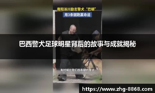 巴西警犬足球明星背后的故事与成就揭秘